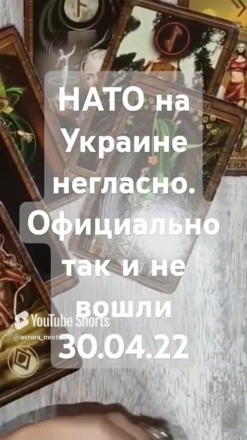 Видео WhatsApp 2025-03-09 в 09.20.59_1638c12b