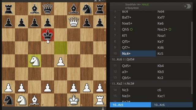 МАРАФОН ПО ШАХМАТНОЙ ДОСКЕ!#chess #шахматыдлявсех #шахматы
