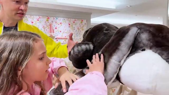 Выиграли iPhone 16
