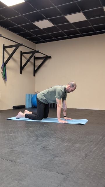 лопаточные отжимания на четвереньках