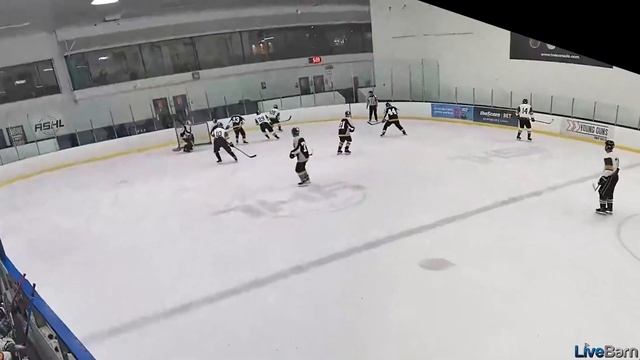 Goal # 3 Grey Knights   great skate out of corner to shoot by Chris Hartt 151077