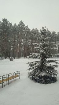 красота в глазах смотрящего (но это зима!)