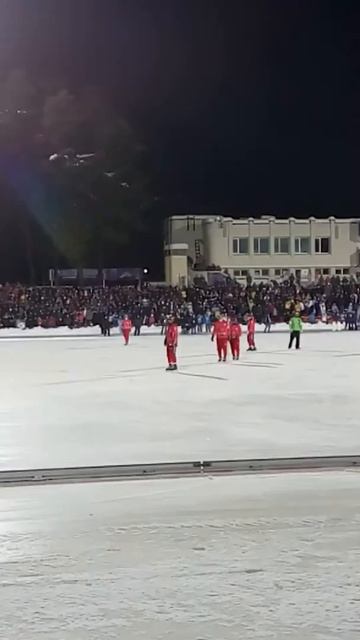 #sport#bandy 2016#dimitrovgrad#Ulyanovsk's#Russia