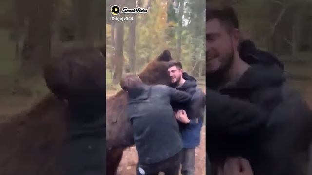 Борьба с медведем