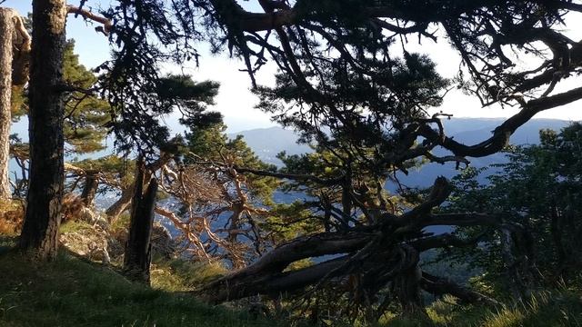 VID_20220720_182058