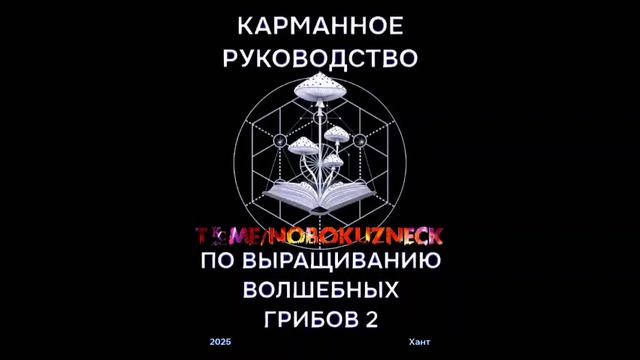 Аудиокнига: Хант. 2025. "Карманное Руководство по Выращиванию Волшебных Грибов 2", #какаятобаба