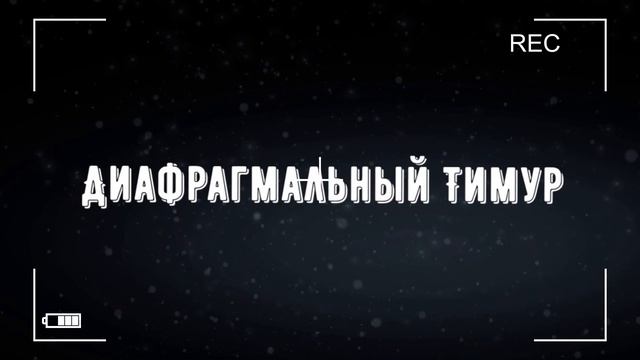 #2 Нурсултан Ережепов - О Кремниевой долине, стартапах и Ironman 70.3