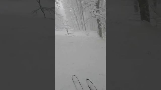 Фрирайд в лесу между МОС и Горизонт.