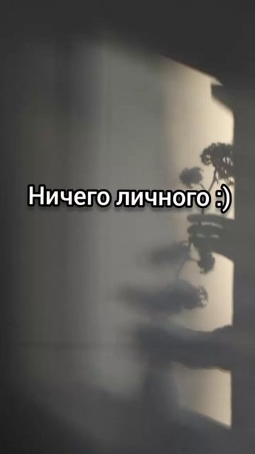 Цитата