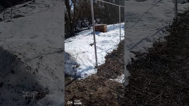 Лестница винтовая