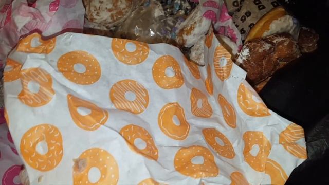 JACKPOT!!! Dunkin Donuts Dumpster Dive - Night 349