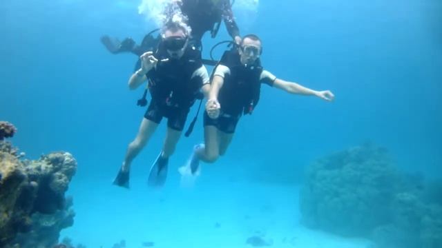 ДАЙВИНГ В КРАСНОМ МОРЕ. ШАРМ-ЭЛЬ-ШЕЙХ, ЕГИПЕТ