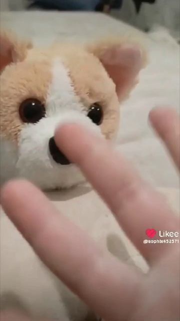 VID_20250309_143422