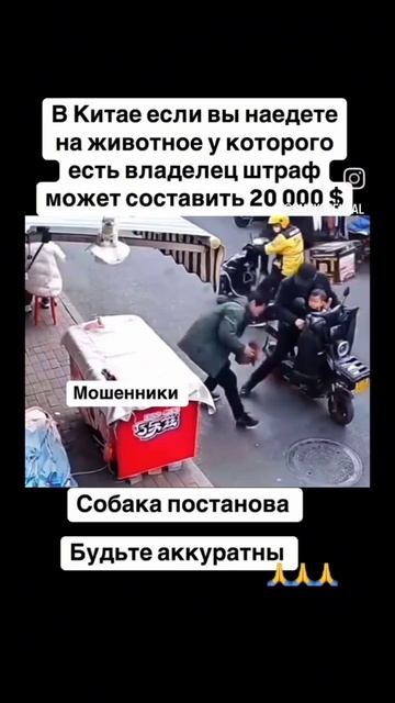 scene_output.mp4