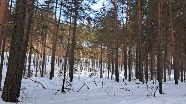 VID_20250225_201229_900