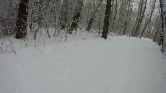 Вешняя прогулка.😊