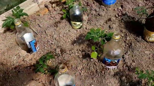 17 вышивальная неделя/8.05.23 - 15.05.23/влоговое видео