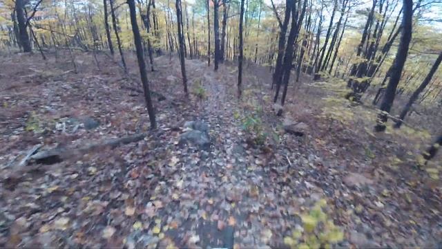 Rush norco aurum DH wet & dry leafy leaves cold soil hard mud Faster used Schwalbe magic mary tires