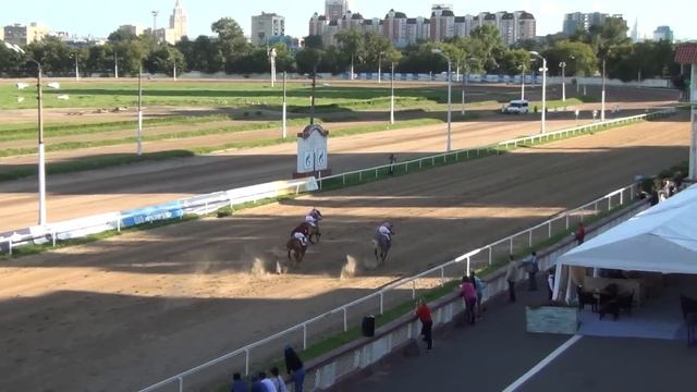 Московский ипподром. Скачки. 02.08.15. Скачка 14(46). КУБОК МОСКВЫ