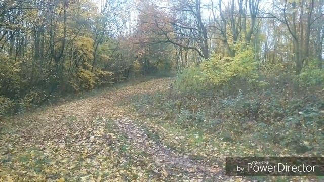 Xtm vs falcon electric dirtbikes