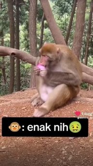 b85b27d6-6aa2-4669-ac76-f202d2e1c49c-1_all_5978.mp4