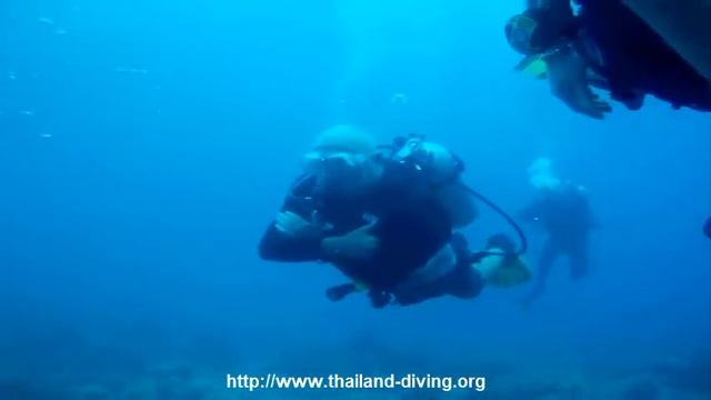 Small group tour with the Thailand Diving Pattaya Club