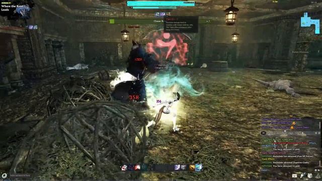 Vindictus - Delia too stronk