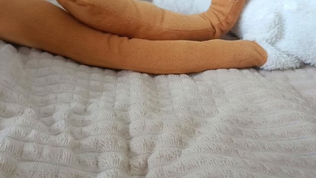 1000269315.mp4