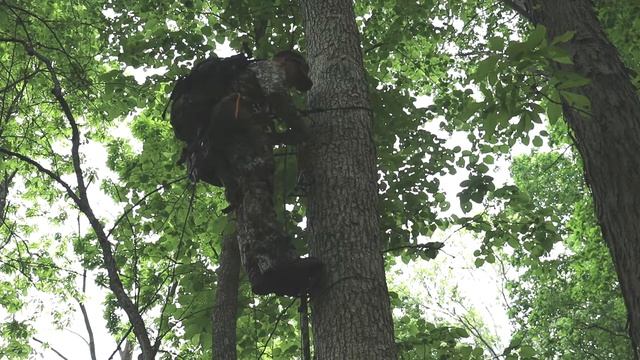 My first ever climb to hunting height in a saddle