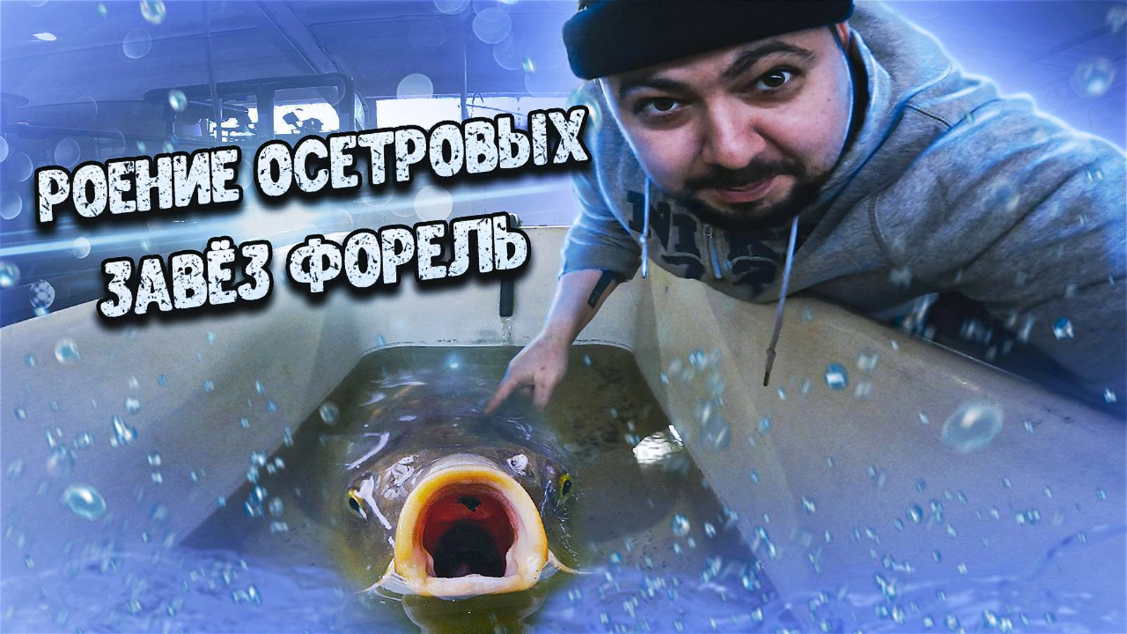 Роение Осетровых _ Завёз Форель