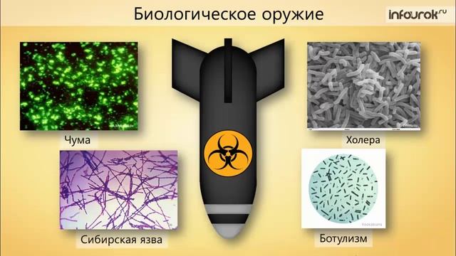 3. Значение вирусов