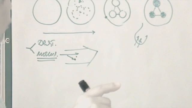Разотождествление. Появление частей и отношений Появление единицы и четверки Душа  2013