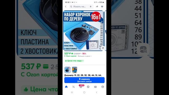 1000017989.mp4 (Собака смотрит на электроснабжение дома А-фрейм)