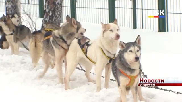 ЭПМ-НовЭЗ построил снежный городок для жителей Линёво