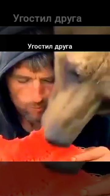 позитив