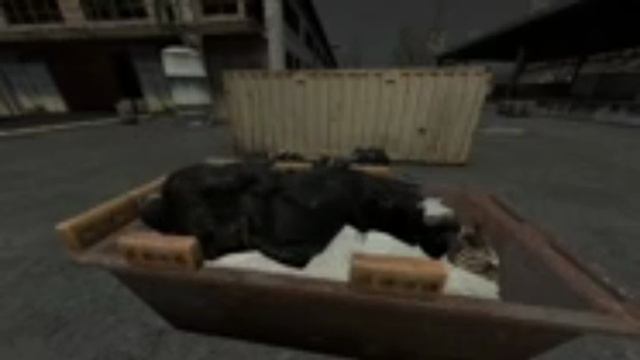 1000012481.mp4