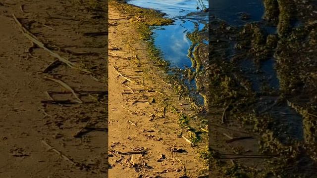 1000024490.mp4