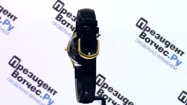 Часы Orient SZ3N008B [FSZ3N008B0] - Круговой обзор от PresidentWatches.Ru