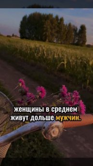 Психологические факты про женщин