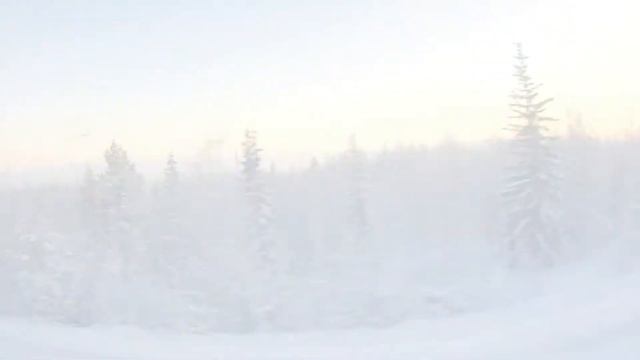 Northern diary