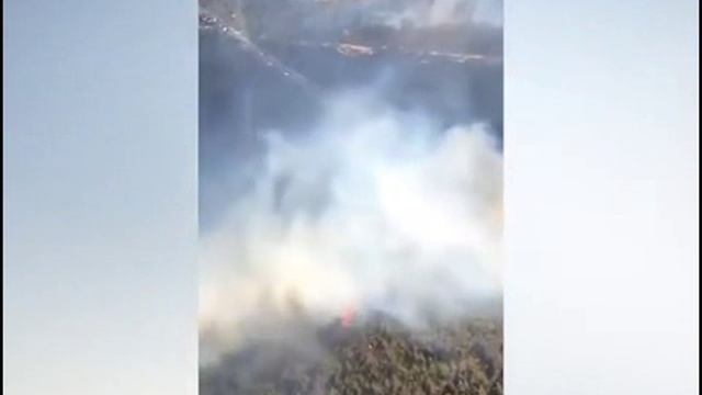 На острове Лонг-Айленд в штате Нью-Йорк начались пожары