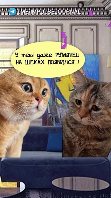 Это помогает #мыкотики #вмем #разговор #анекдот #шутки #животные #юмор #кошки #смешное #мемы