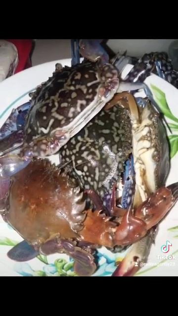 Seafood with garlic and butter