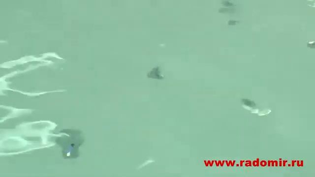 Производство гидромассажных ванн и душевых кабин 'RADOMIR'
