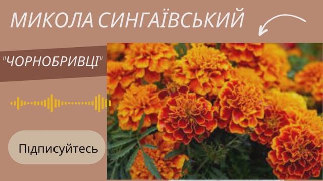"Чорнобривці" Микола Сингаївський. Аудіовірш.
