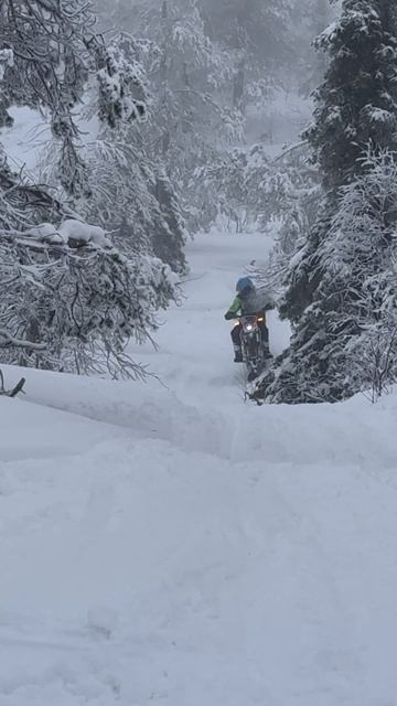 Главное оседлать своего Коня!!! SNOWBIKE REGULMOTO ALLROAD #shorts