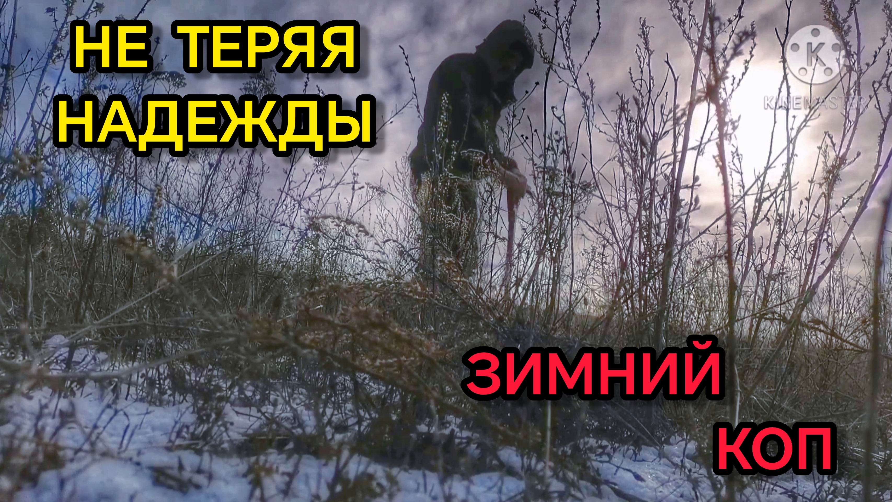 Поиск с металлоискателем. Коп монет. Нокта симплекс