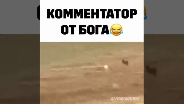 Комментатор от Бога