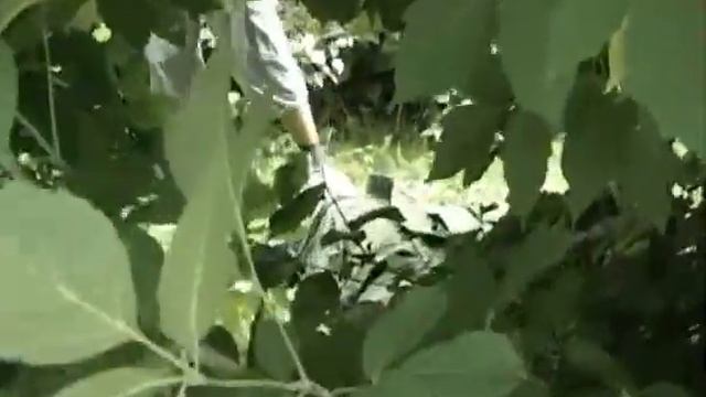 Любители экстрима блистали на площади Металлургов