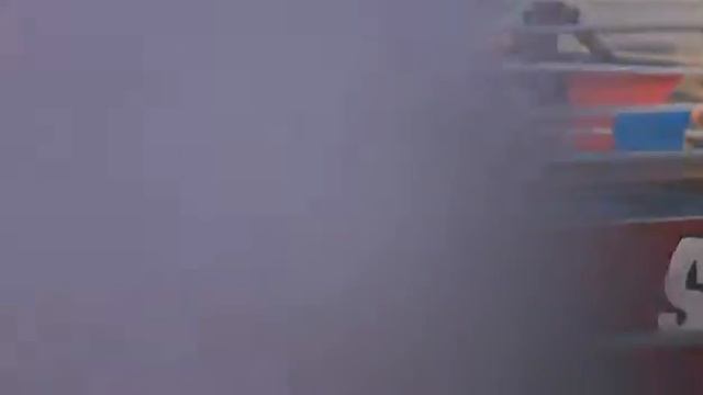 Плавающая свинка малышка